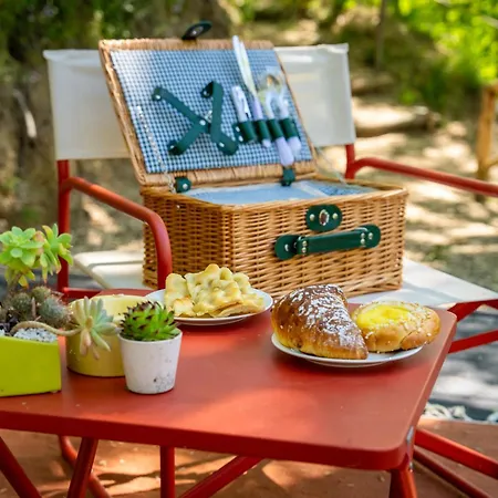 Dome Islanda - Cinque Terre *